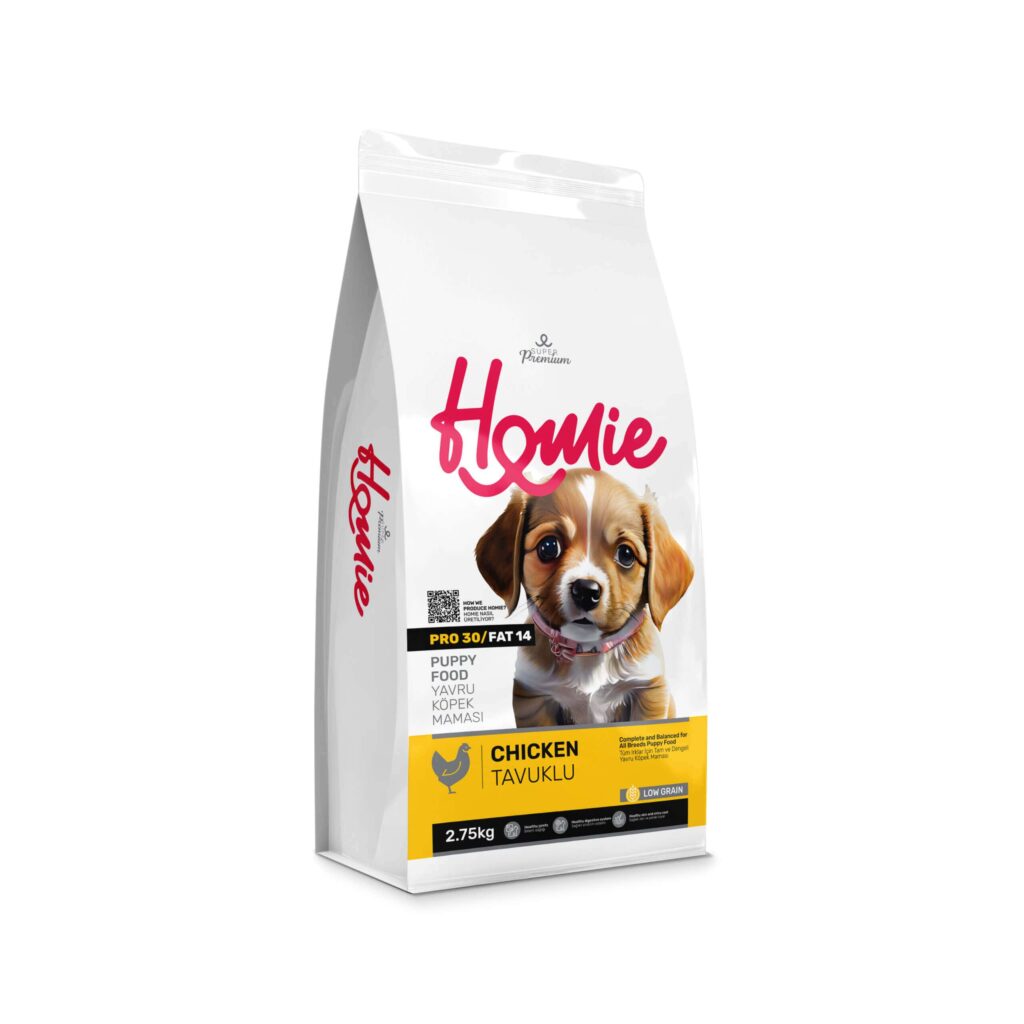 Best Dog Food for Small Dogs: What Small Breeds Really Need