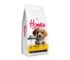 Best Dog Food for Small Dogs: What Small Breeds Really Need