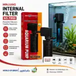 How Often to Clean an Aquarium Filter