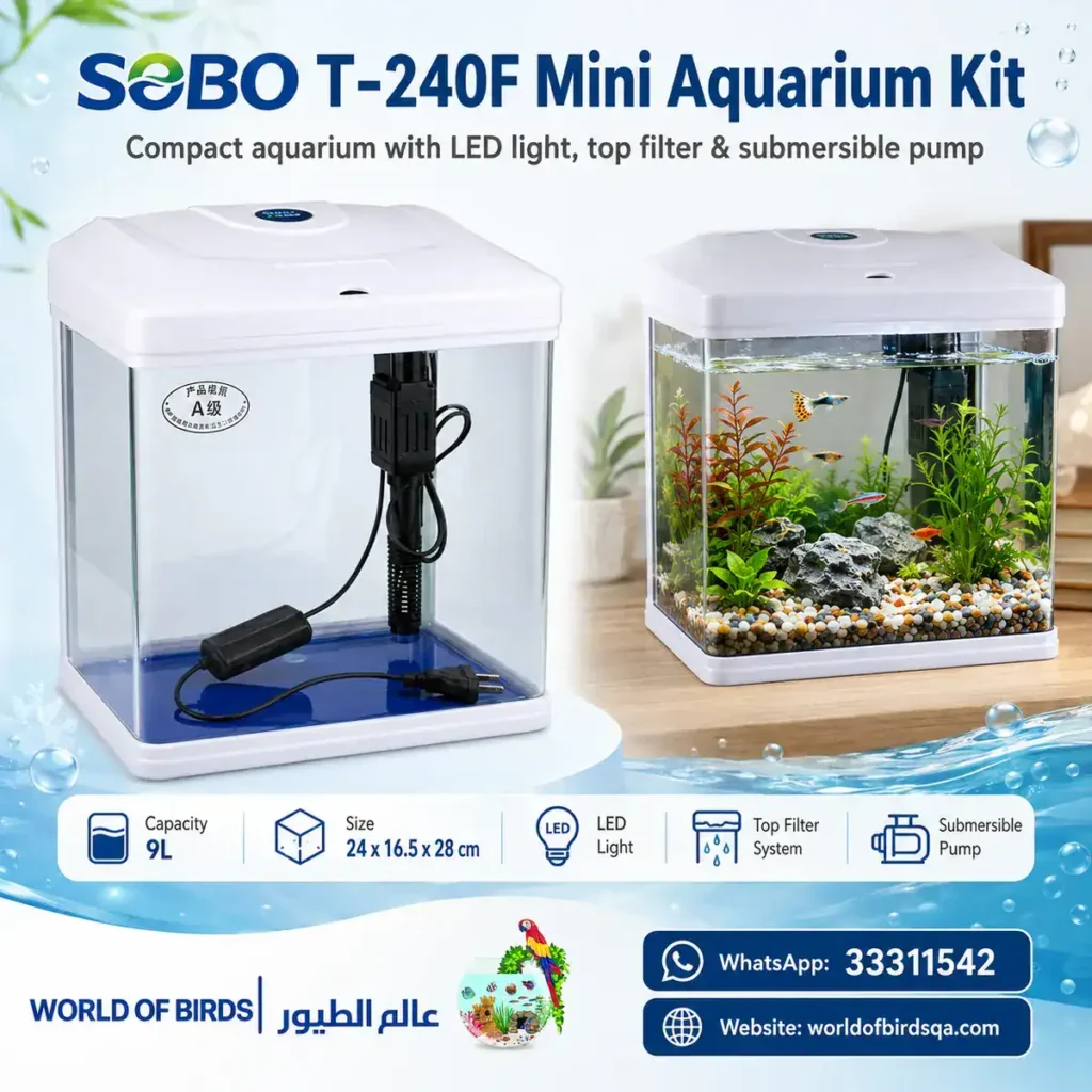 How to Acclimate New Fish to an Aquarium Without Stress