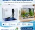 How to Acclimate New Fish to an Aquarium Without Stress