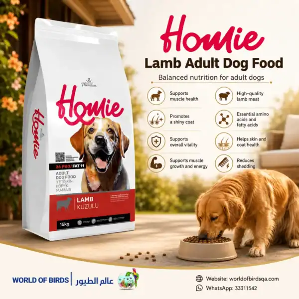 Can Cats Eat Dog Food? Safety Guide for Cat Owners