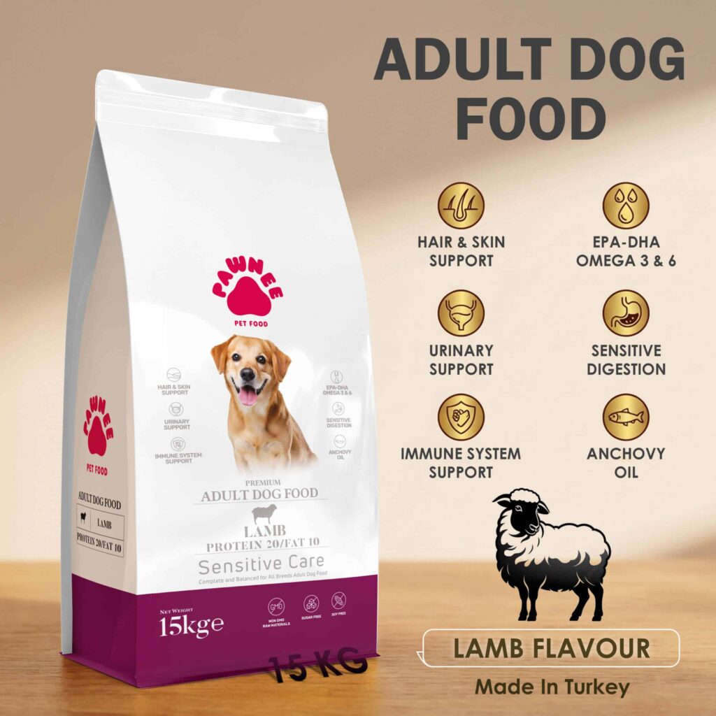 Dog Food for Sensitive Stomachs: Signs & Tips