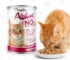 How Much Water Should a Cat Drink Each Day? Complete Hydration Guide