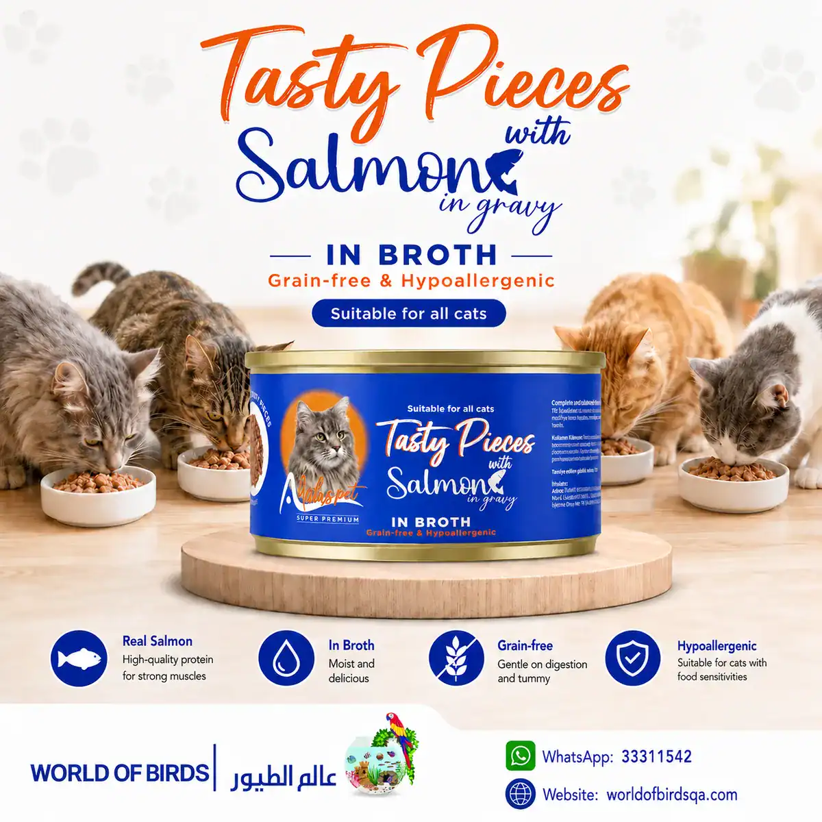 How Much Water Should a Cat Drink? Complete Guide