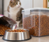 How long does dry cat food last after opening? Storage guide for Qatar cat owners.