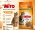 Best Cat Food for Indoor Cats: Qatar Guide